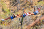 Day Pass at the Wild Park several activities one day