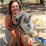 Camel Quest