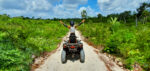 Outdoor Adventure/ Akumal