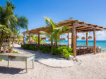Cenotes , Turtles & Beach Club/ Akumal - Image 3