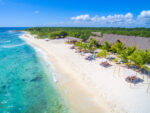 Coba & Turtle Advenutre / Akumal - Image 3