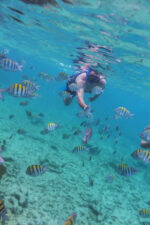 Tulum & Luxury Catamaran/ Akumal - Image 2