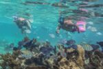 Tulum & Luxury Catamaran/ Akumal - Image 7