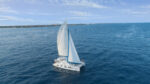Tulum & Luxury Catamaran/ Akumal - Image 5