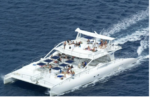 Snorkeling & Catamaran to Isla Saona Tour