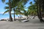 Snorkeling & Catamaran to Isla Saona Tour - Image 3