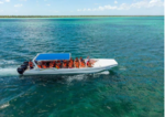 Snorkeling & Catamaran to Isla Saona Tour - Image 2