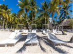 Snorkeling & Catamaran to Isla Saona Tour - Image 4