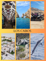 Transportation Services Los Cabos - Image 4